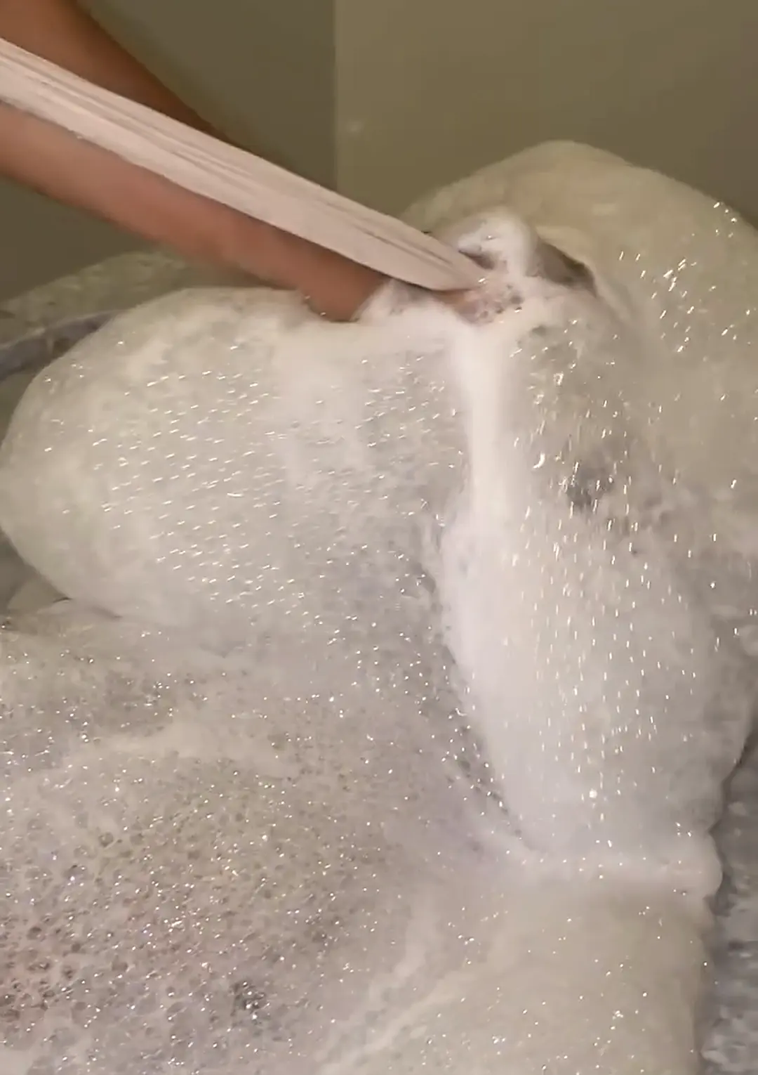 Foam